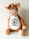 Personalised Birth Announcement Soft Toy